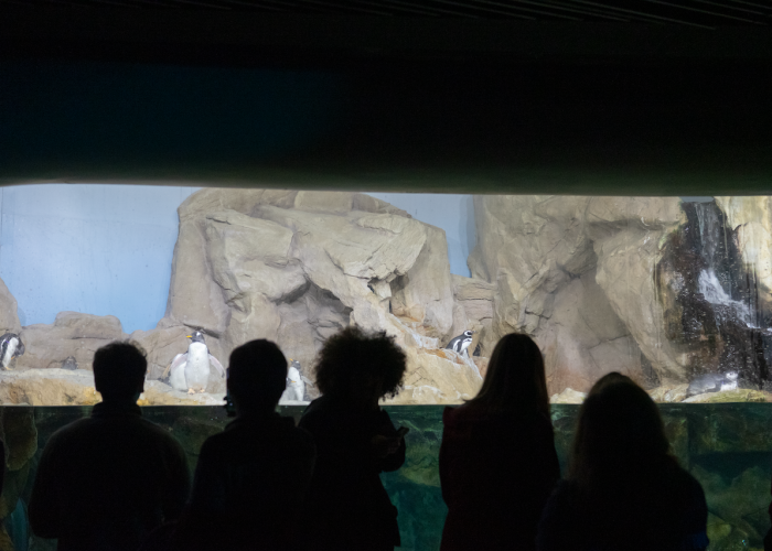 Il team di Ecosmic in visita all'acquario di Genova